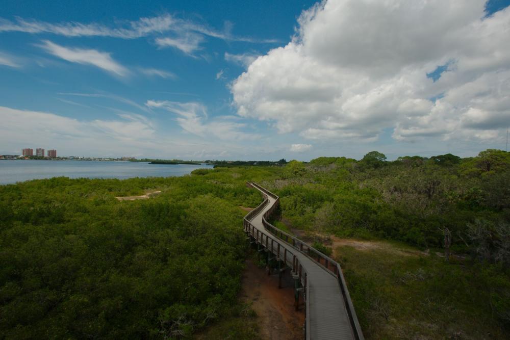 Take the boardwalk at Indian Rocks Beach Nature Preserve