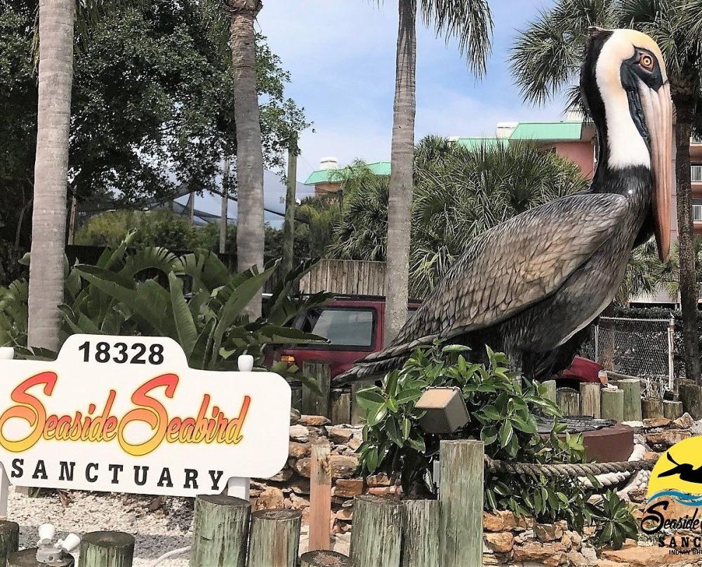 Visit Seaside Seabird Sanctuary