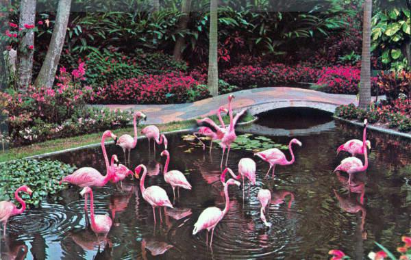 Sunken Gardens