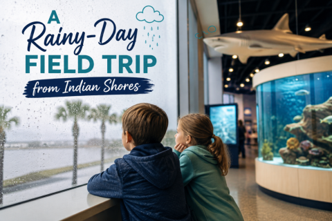 A Rainy-Day Field Trip from Indian Shores