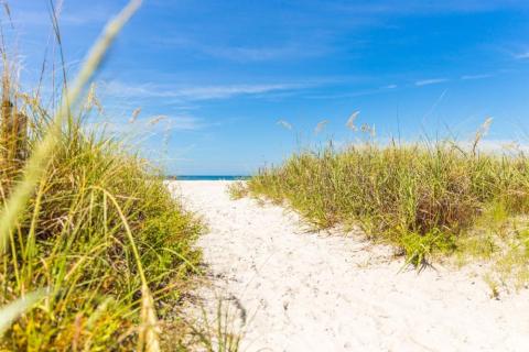 Indian Shores Orientation Guide: 